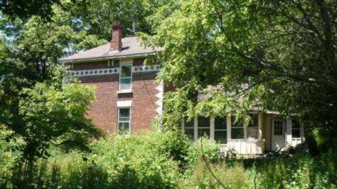 Mt.Wolfe - Mt-Wolfe-Farm44.jpg