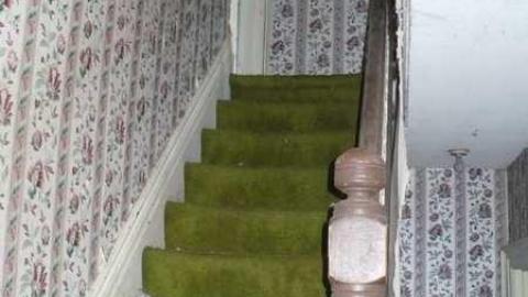 Mt.Wolfe - Mt-Wolfe-Farm47.jpg