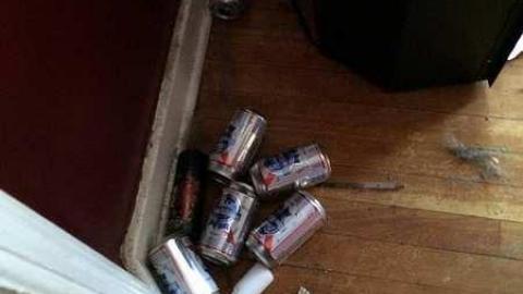 Beastie Boys - Punk-House8.jpg