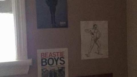 Beastie Boys - Punk-House10.jpg