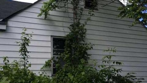 Beastie Boys - Punk-House21.jpg