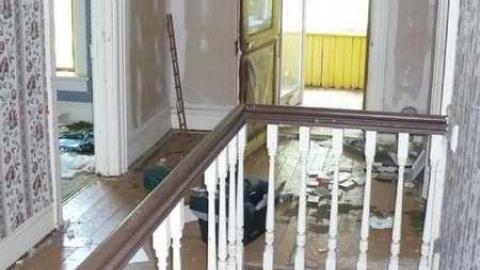 Mt.Wolfe - Mt-Wolfe-Farm52.jpg