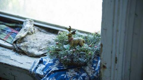 House with a thousand cages - q-HWTC3.jpg