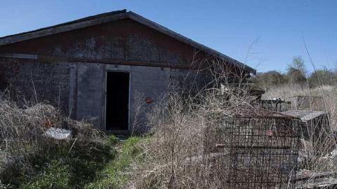 House with a thousand cages - p-HWTC4.3.jpg