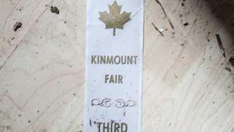 House with a thousand cages - q-HWTC4.jpg