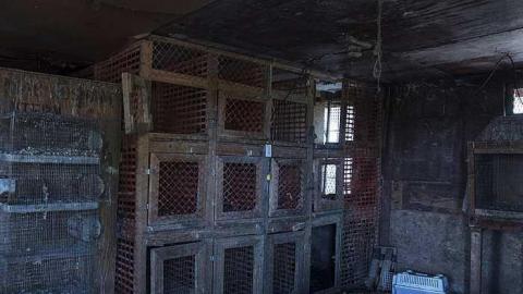 House with a thousand cages - u-HWTC5.jpg