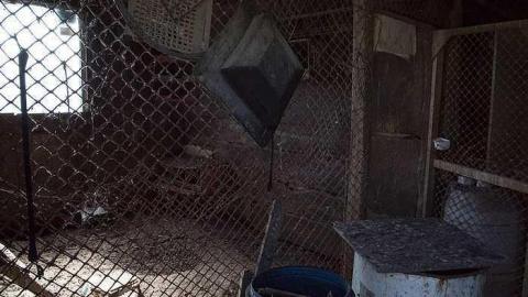 House with a thousand cages - a-HWTC6.1.jpg