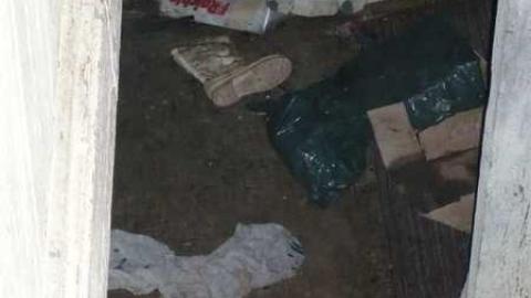 Mt.Wolfe - Mt-Wolfe-Farm68.jpg