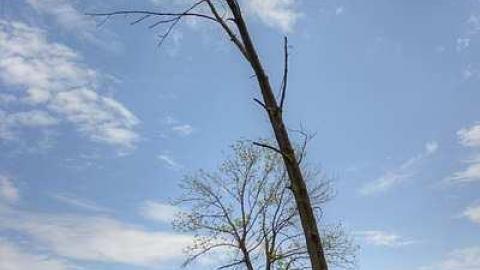 Their Memory Is Blessed - Sparling-Pioneer-Cemetery21.jpg