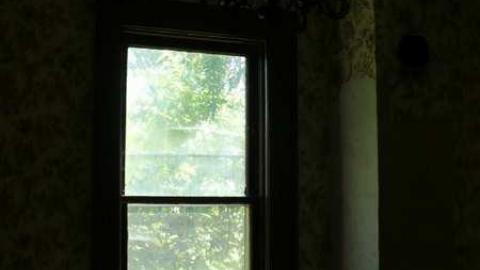 Mt.Wolfe - Mt-Wolfe-Farm69.jpg