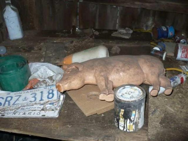 Mt Wolfe Farm photo 5