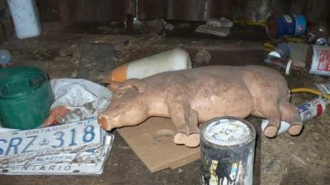 Mt.Wolfe - Mt-Wolfe-Farm72.jpg