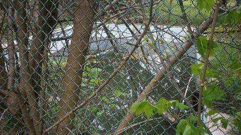 indian road - 112_0829.jpg