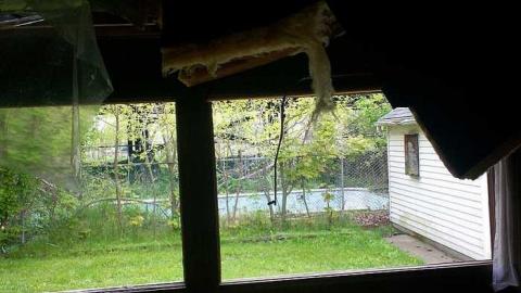 indian road - 112_0831.jpg