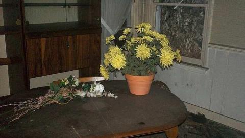 indian road - 112_0833.jpg