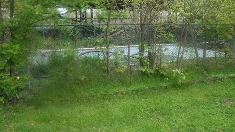 indian road - DSCF3022.jpg