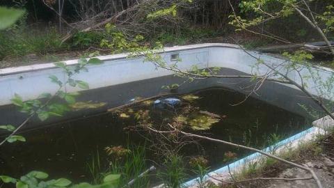 indian road - DSCF3023.jpg