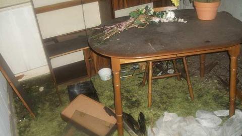 indian road - DSCF3028.jpg