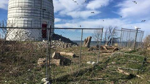 Canoe Expedition - Nottawasaga-Lighthouse12.jpg