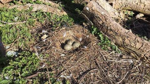 Canoe Expedition - Nottawasaga-Lighthouse13.jpg
