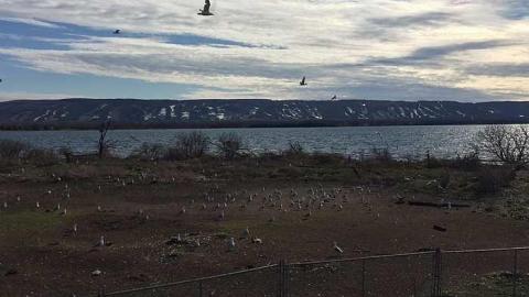 Canoe Expedition - Nottawasaga-Lighthouse10.jpg