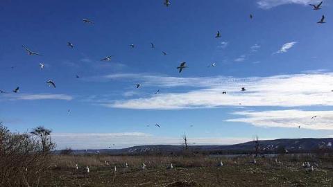 Canoe Expedition - Nottawasaga-Lighthouse11.jpg