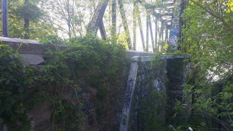 May 2016 - Prince-of-Wales-Bridge58.jpg