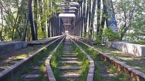 May 2016 - Prince-of-Wales-Bridge25.jpg