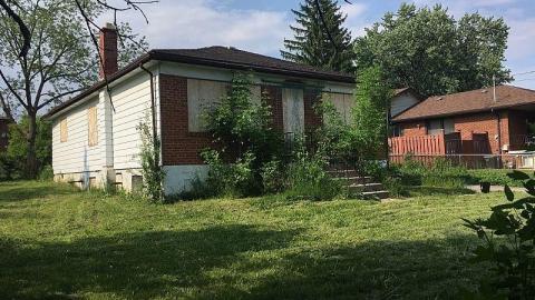 Crooked Stairs & Cat Lady photo 2