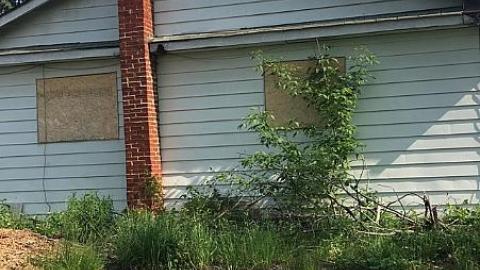 Crooked Stairs & Cat Lady photo 3