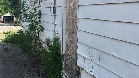 Crooked Stairs & Cat Lady photo 5