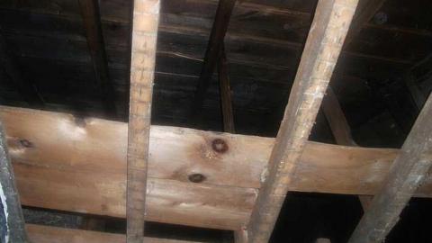 the 772 house - DSCF3013.jpg