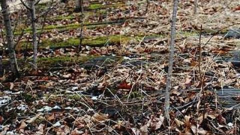 Train Station - Old-Grand-Trunk-Rail-Station51.jpg