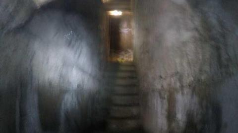 Linseed - Linseed-Factory403.jpg