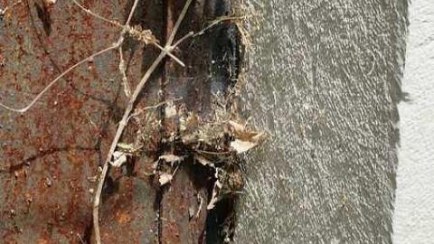 May 2016 - Newburgh-Crypts5.jpg