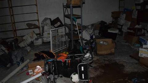 2016 Summer - Arthur-Meighen-School30.jpg