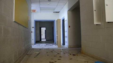 2016 Summer - Arthur-Meighen-School32.jpg