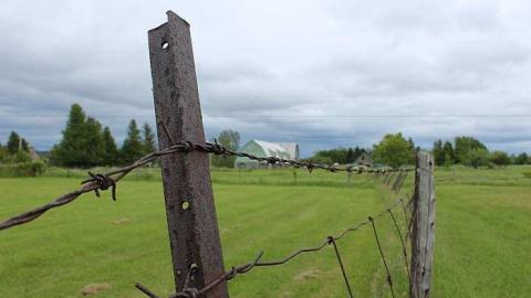 Horaceville (ghost town) cover photo