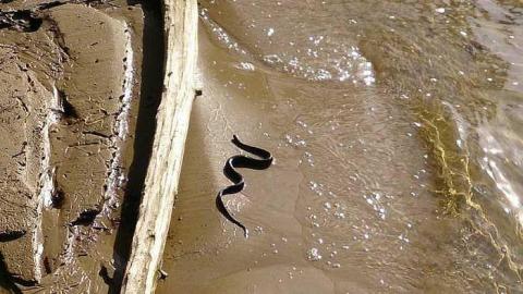 falls - Sauble-Falls-(ghost-town)1.jpg