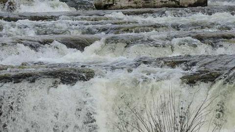 falls - Sauble-Falls-(ghost-town)2.jpg