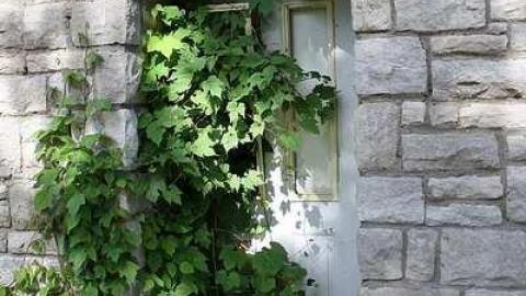 Beauty of Bob-lo - x-IMG_9840.jpg