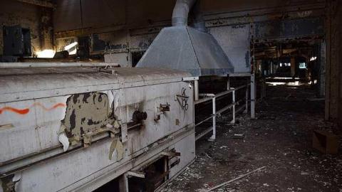 Summer Cookie Craving - McCormicks-Biscuit-Factory594.jpg