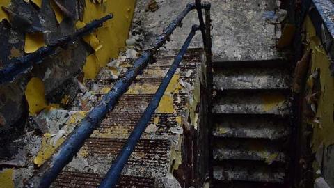 Summer Cookie Craving - McCormicks-Biscuit-Factory610.jpg