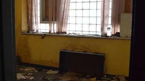 Summer Cookie Craving - McCormicks-Biscuit-Factory556.jpg