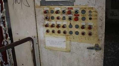 Summer Cookie Craving - McCormicks-Biscuit-Factory560.jpg