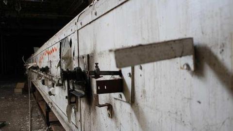 Summer Cookie Craving - McCormicks-Biscuit-Factory615.jpg