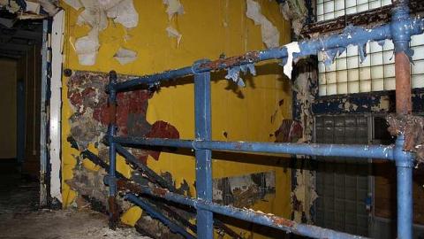 Summer Cookie Craving - McCormicks-Biscuit-Factory563.jpg