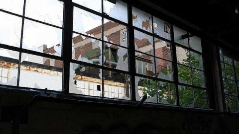 Summer Cookie Craving - McCormicks-Biscuit-Factory585.jpg