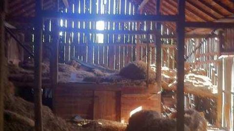 Abandoned near Stayner - Klondike 8.jpg