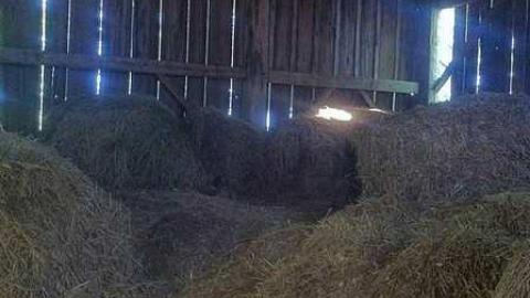 Abandoned near Stayner - Klondike 9.jpg